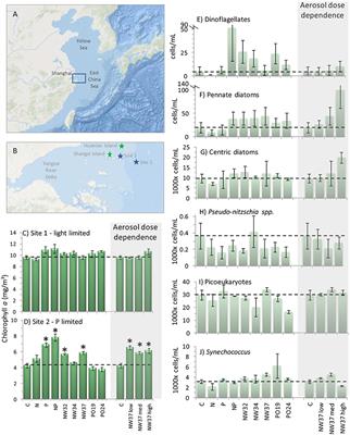 Atmospheric and Fluvial Nutrients Fuel Algal Blooms in the East China Sea